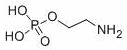 O-PHOSPHORYLETHANOLAMINE